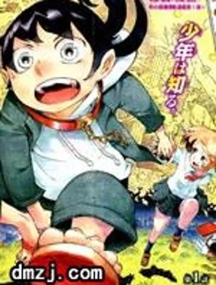 HACHI -東京23宮-封面