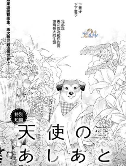 天使的足跡封面