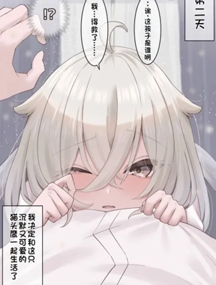 撿到的貓頭鷹變成了女孩子封面