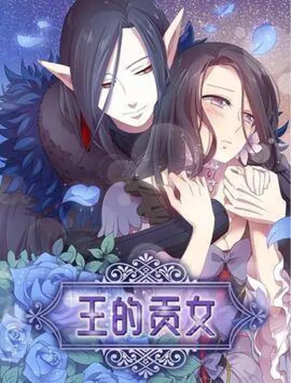 王的贡女封面