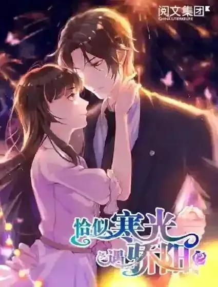 恰似寒光遇骄阳封面