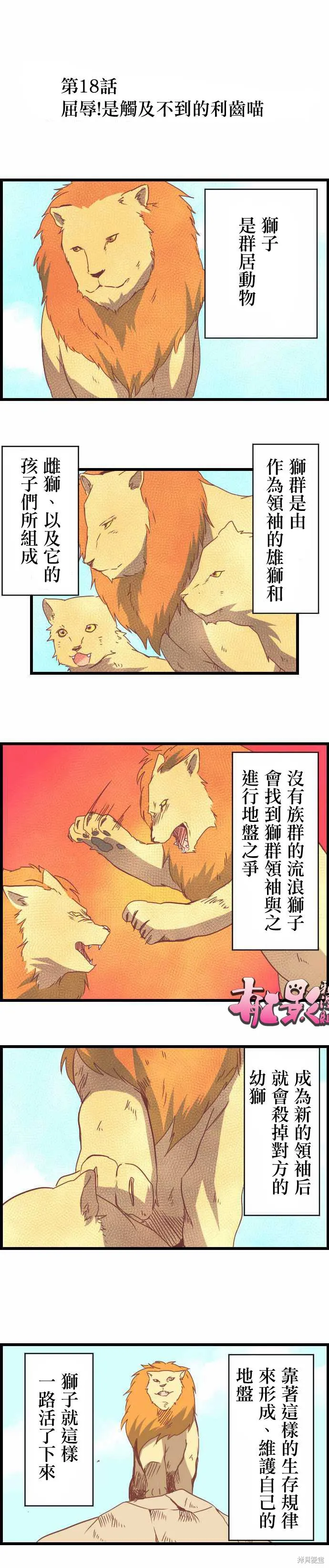 百獸之王鬃毛喵喵,第18话,第1张