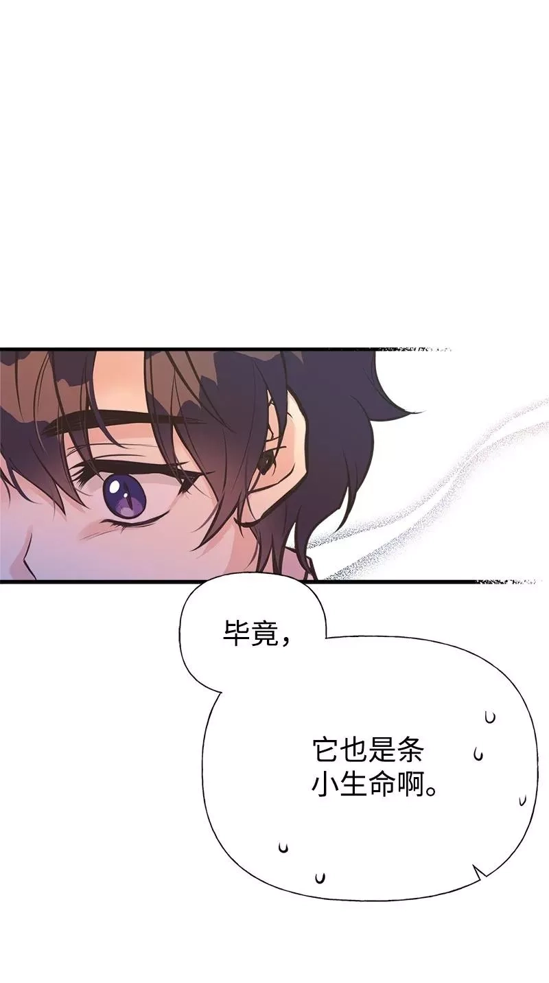 姐姐捡回了男主,52 雪球,第11张