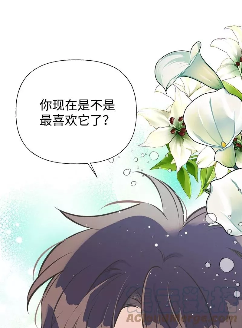 姐姐捡回了男主,52 雪球,第13张