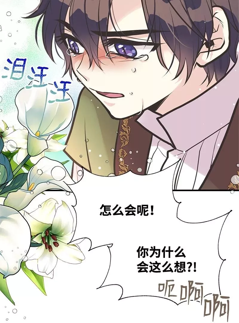 姐姐捡回了男主,52 雪球,第14张
