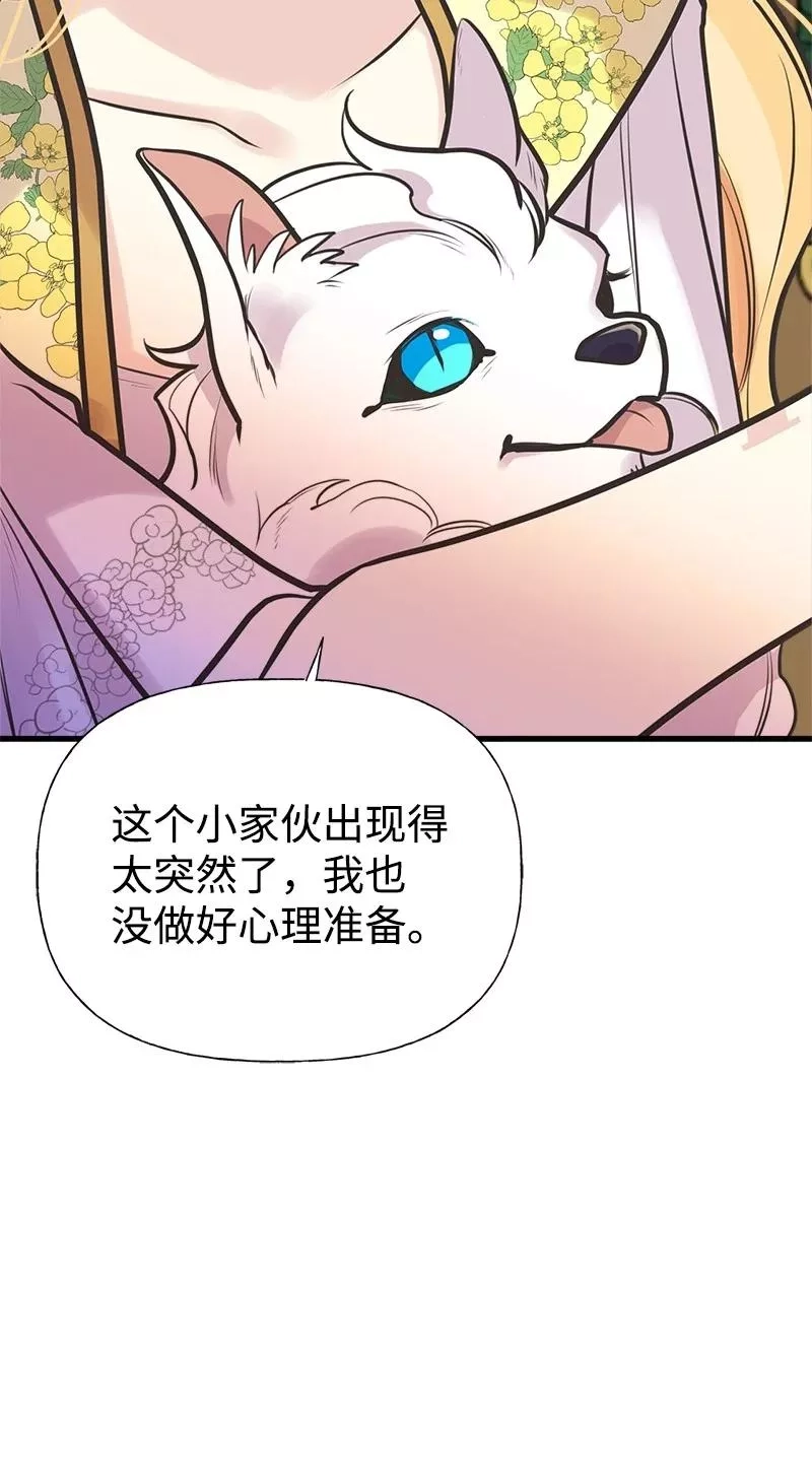 姐姐捡回了男主,52 雪球,第18张