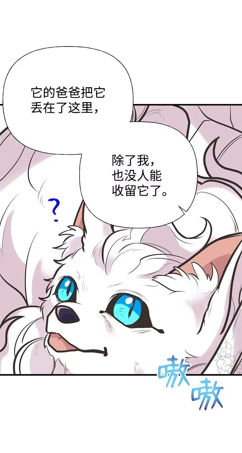 姐姐捡回了男主,52 雪球,第20张
