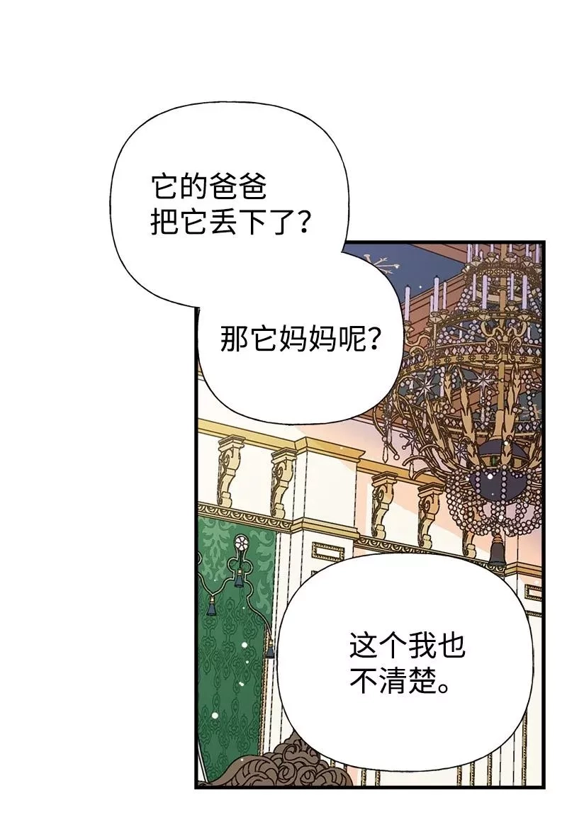 姐姐捡回了男主,52 雪球,第21张