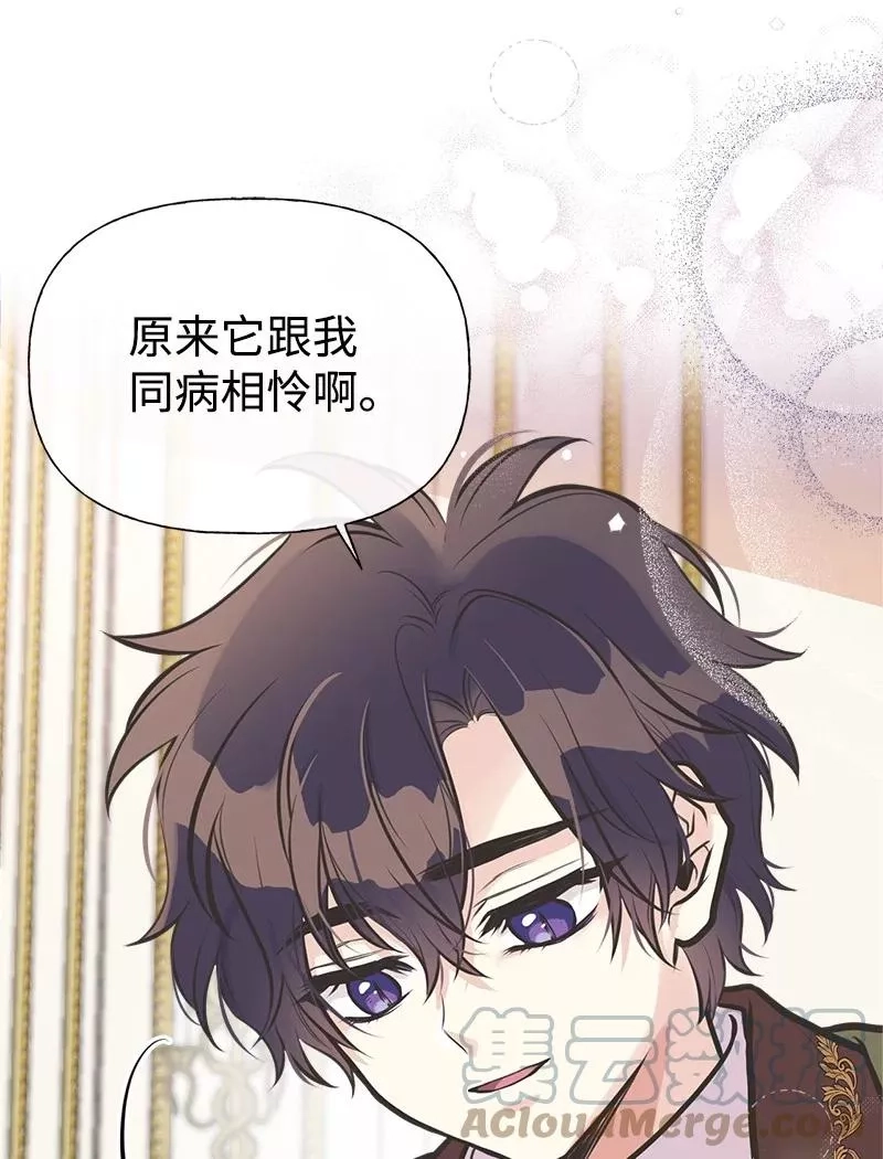 姐姐捡回了男主,52 雪球,第25张