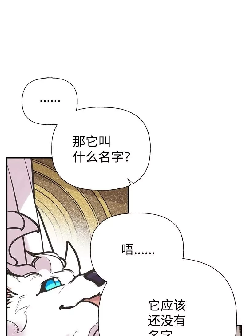 姐姐捡回了男主,52 雪球,第29张