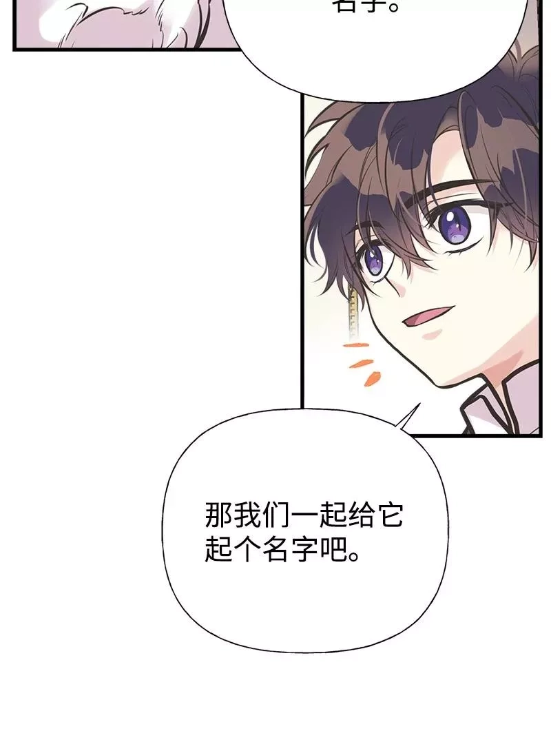 姐姐捡回了男主,52 雪球,第30张