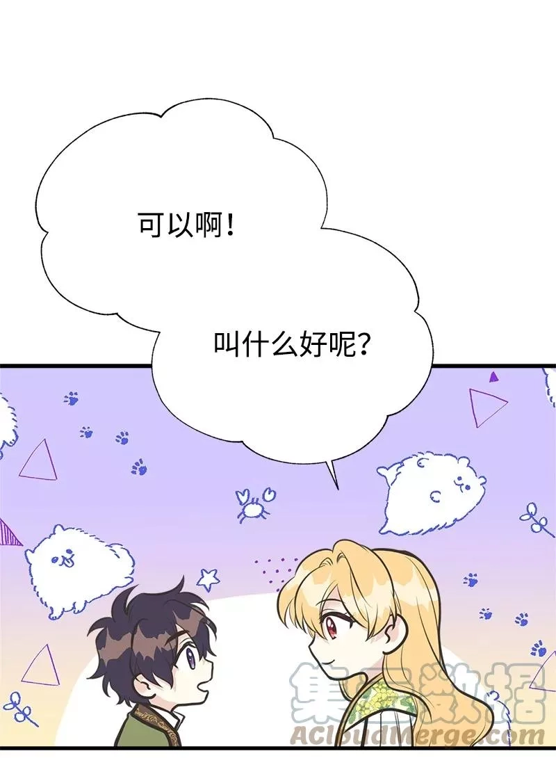 姐姐捡回了男主,52 雪球,第31张