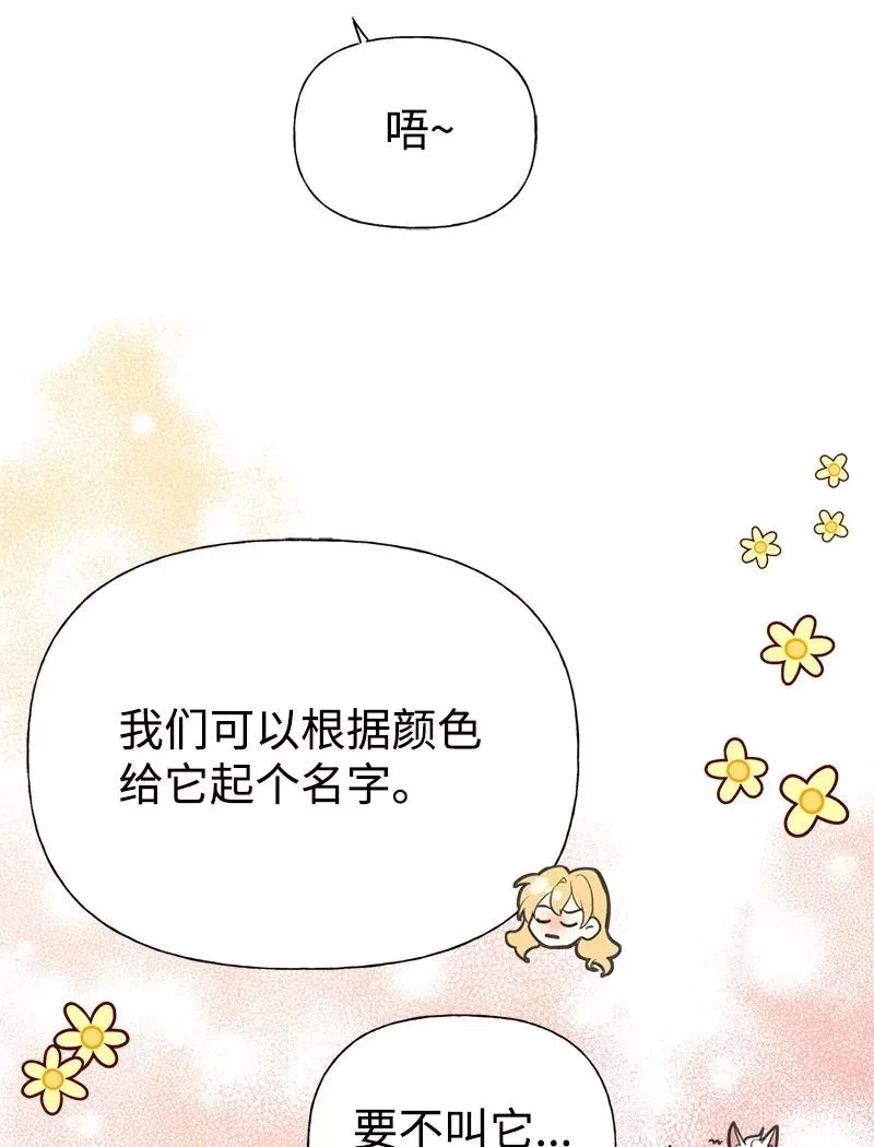姐姐捡回了男主,52 雪球,第32张