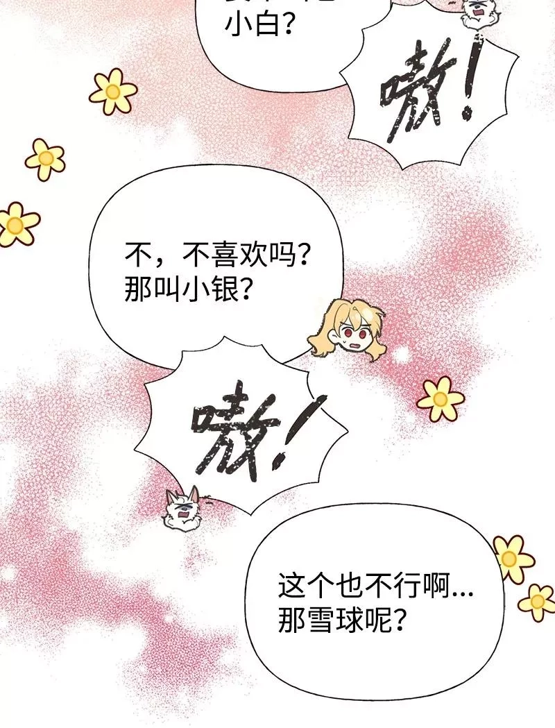 姐姐捡回了男主,52 雪球,第33张