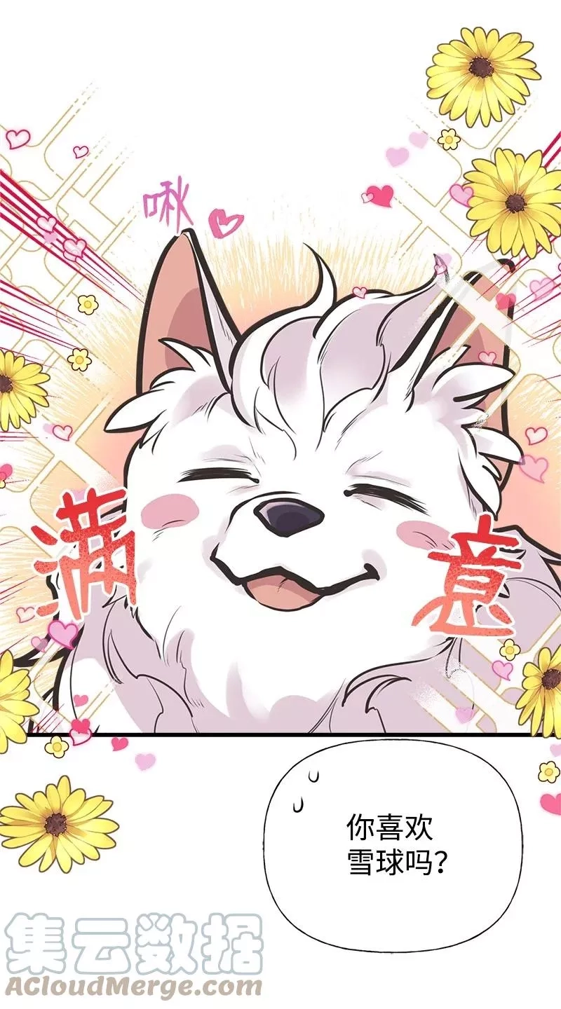 姐姐捡回了男主,52 雪球,第34张