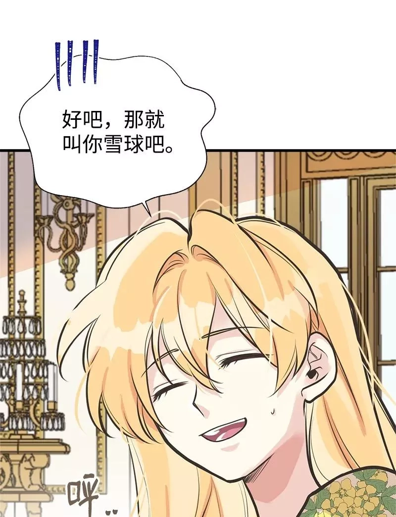 姐姐捡回了男主,52 雪球,第35张