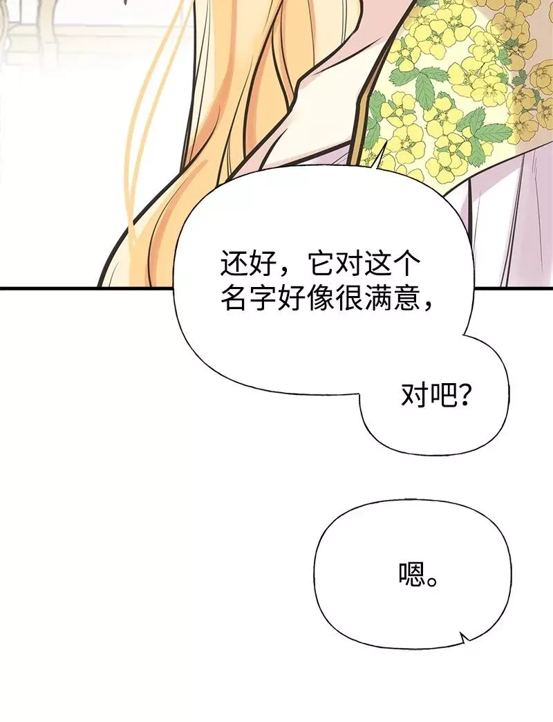 姐姐捡回了男主,52 雪球,第36张