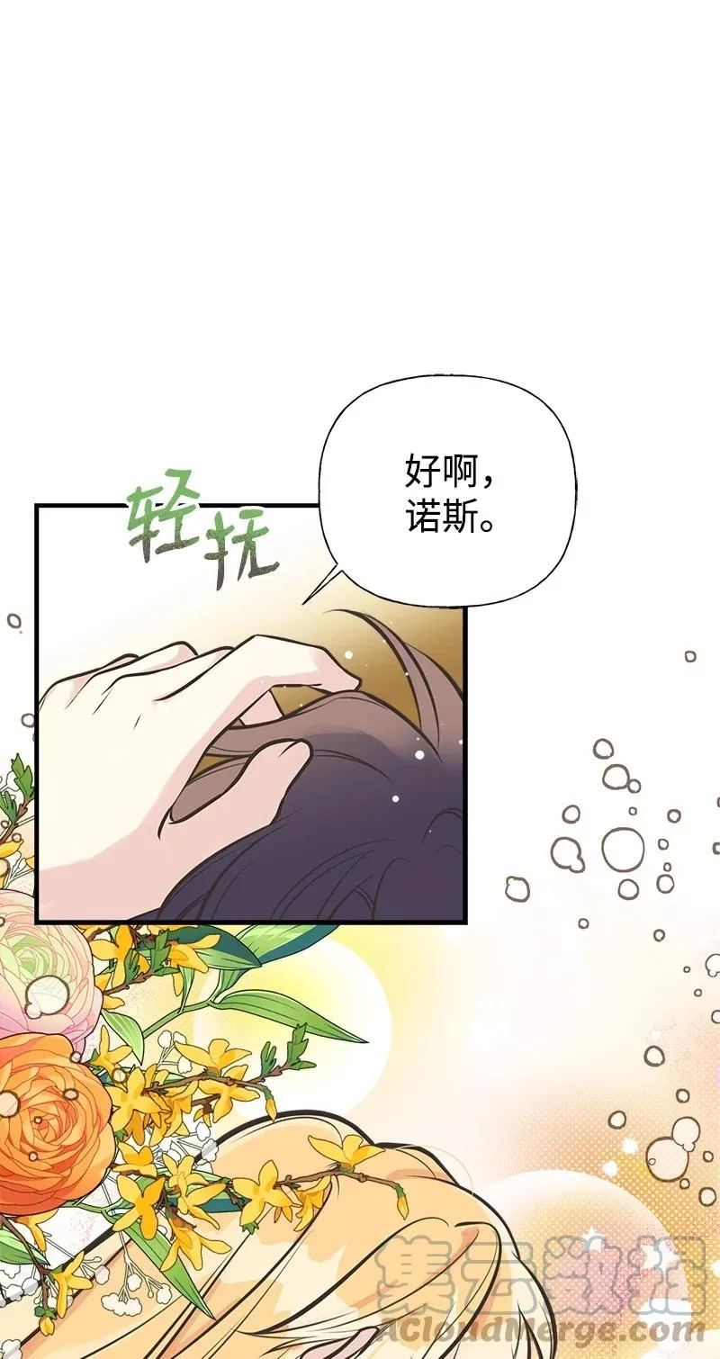 姐姐捡回了男主,52 雪球,第40张