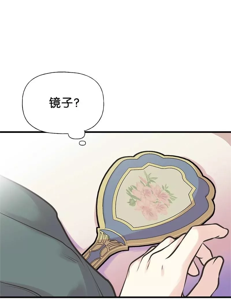 姐姐捡回了男主,52 雪球,第44张