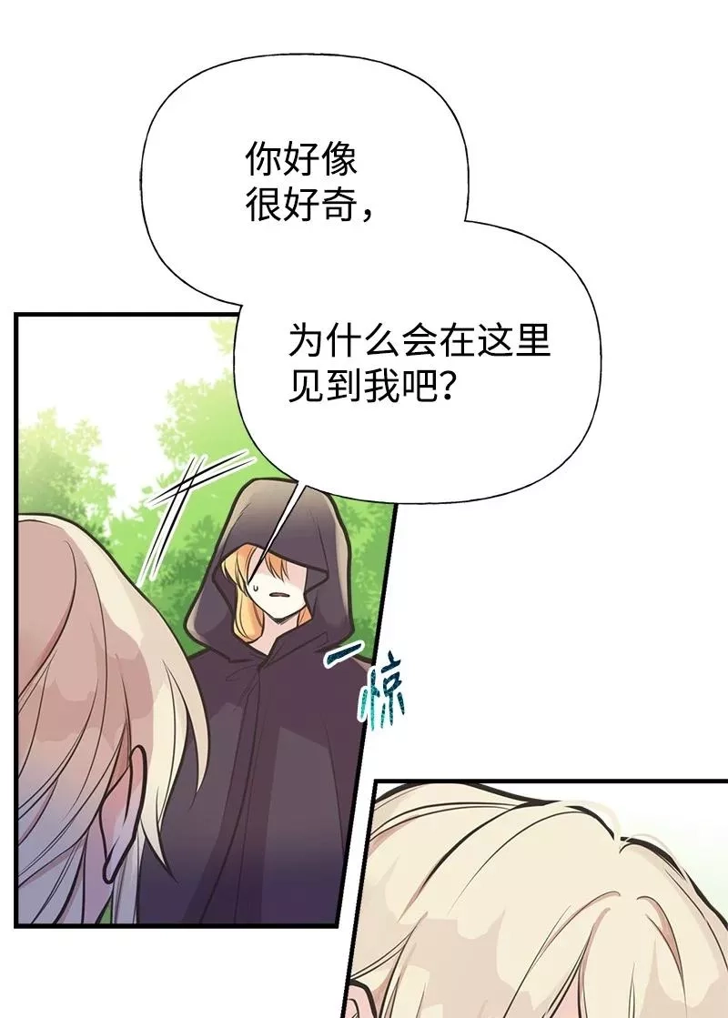 姐姐捡回了男主,52 雪球,第60张