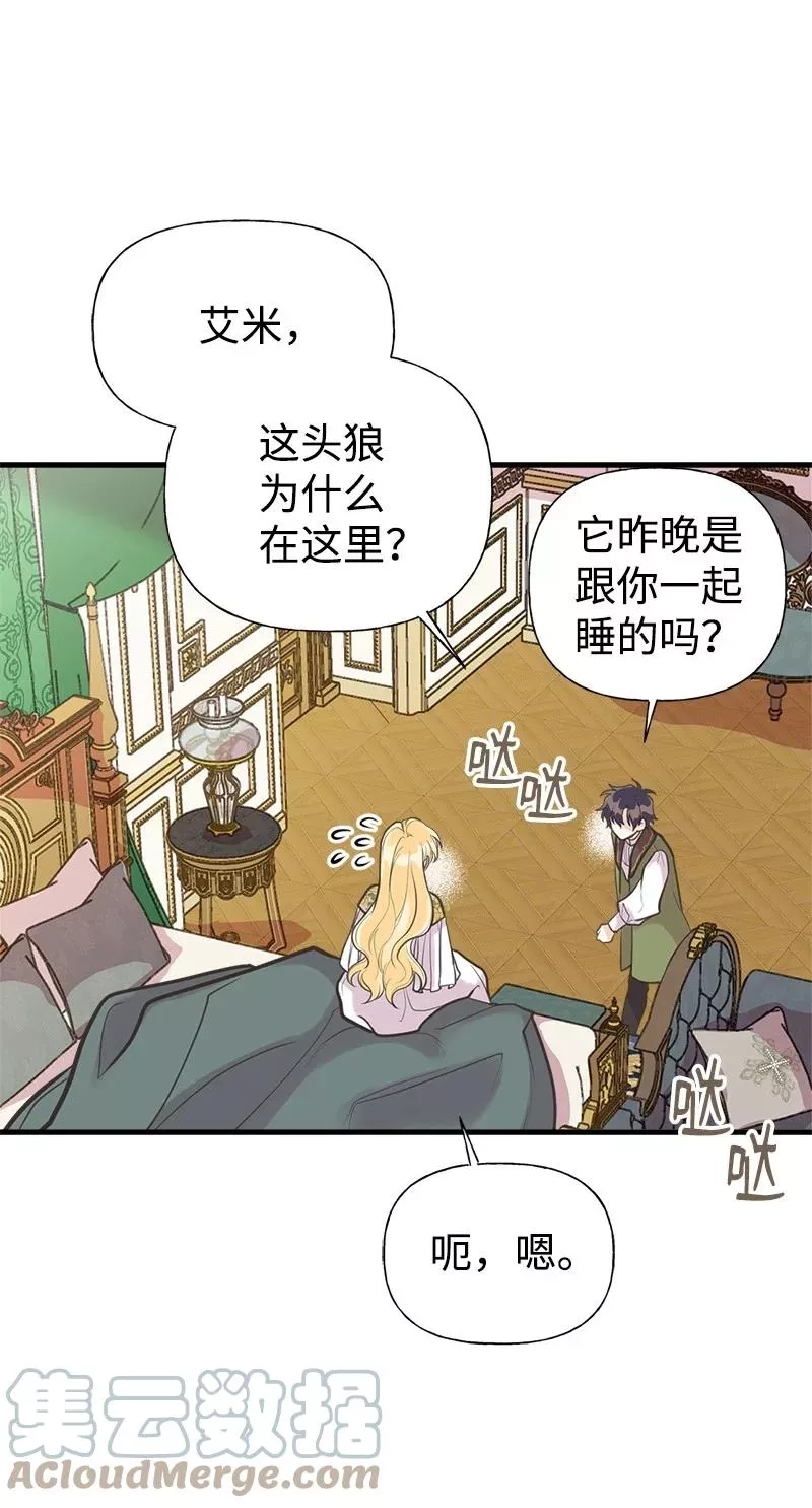 姐姐捡回了男主,52 雪球,第7张