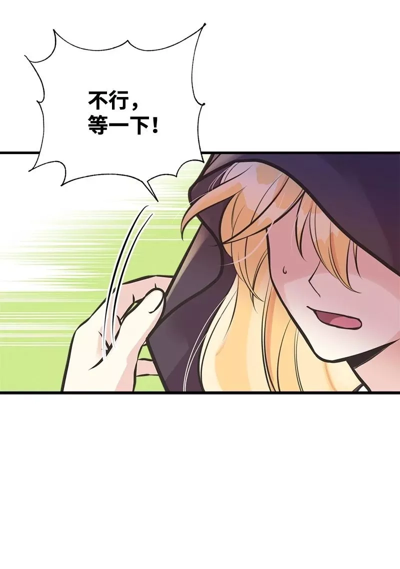 姐姐捡回了男主,52 雪球,第72张