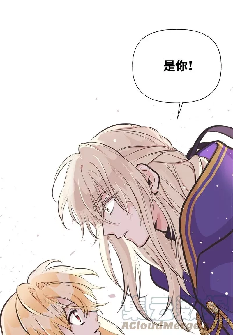 姐姐捡回了男主,52 雪球,第76张