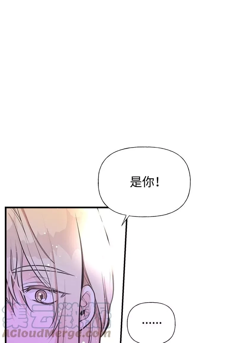 姐姐捡回了男主,52 雪球,第79张