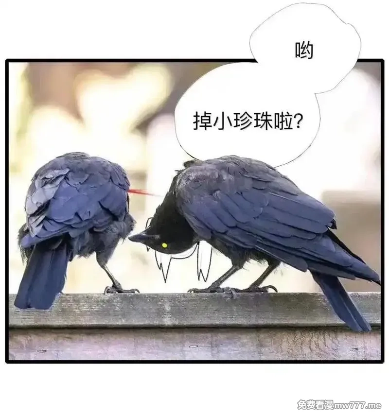 前列仙,28 好大的蘑菇啊！,第1张
